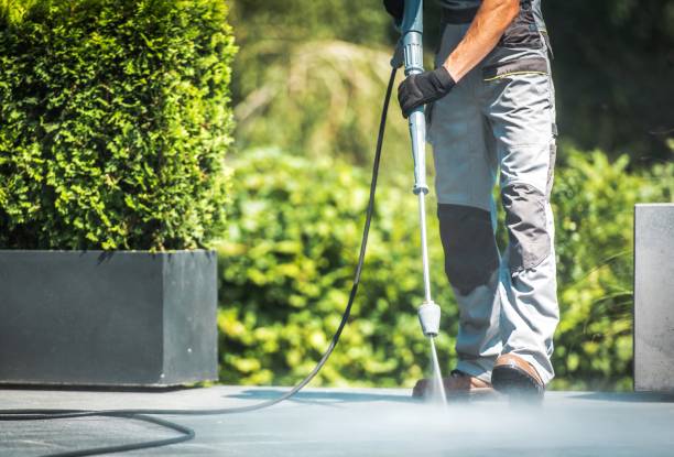 Best Solar Panel Cleaning  in Pittsfield, MA