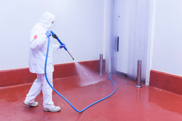 Best Spring Cleaning  in Pittsfield, MA